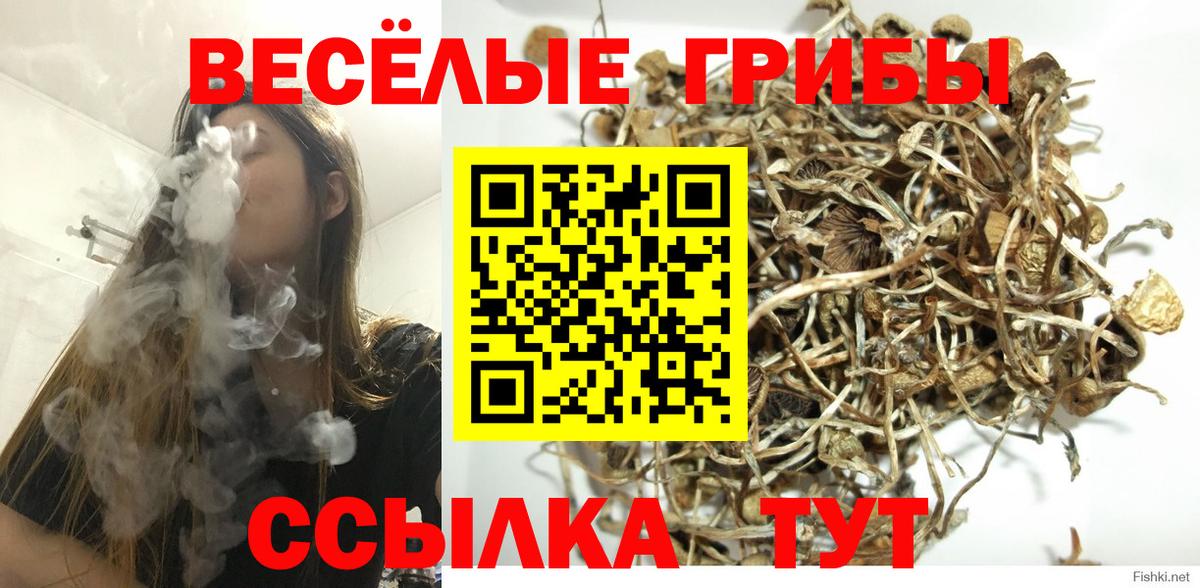 Галлюциногенные грибы Magic Shrooms Снежинск