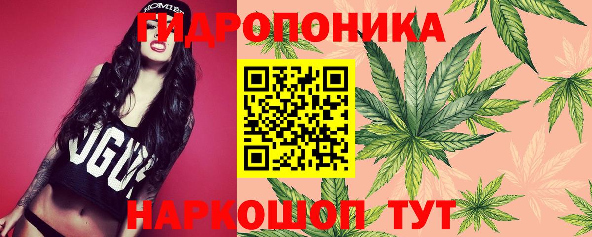Бошки Шишки VHQ  Бошки марихуана VHQ  Марихуана планчик  Вход с VPN  Снежинск 